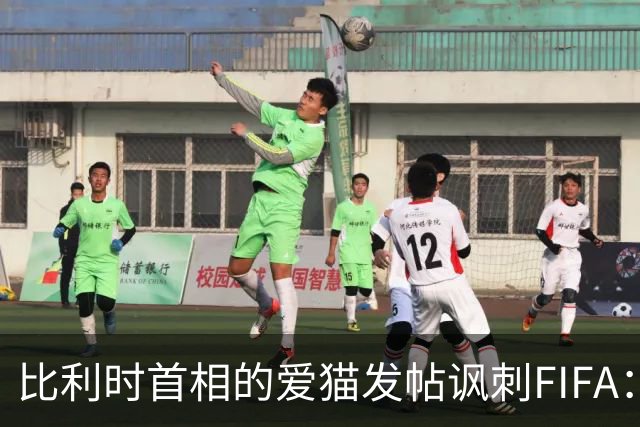 比利时首相的爱猫发帖讽刺FIFA：“红牌？”我照样继续踢！